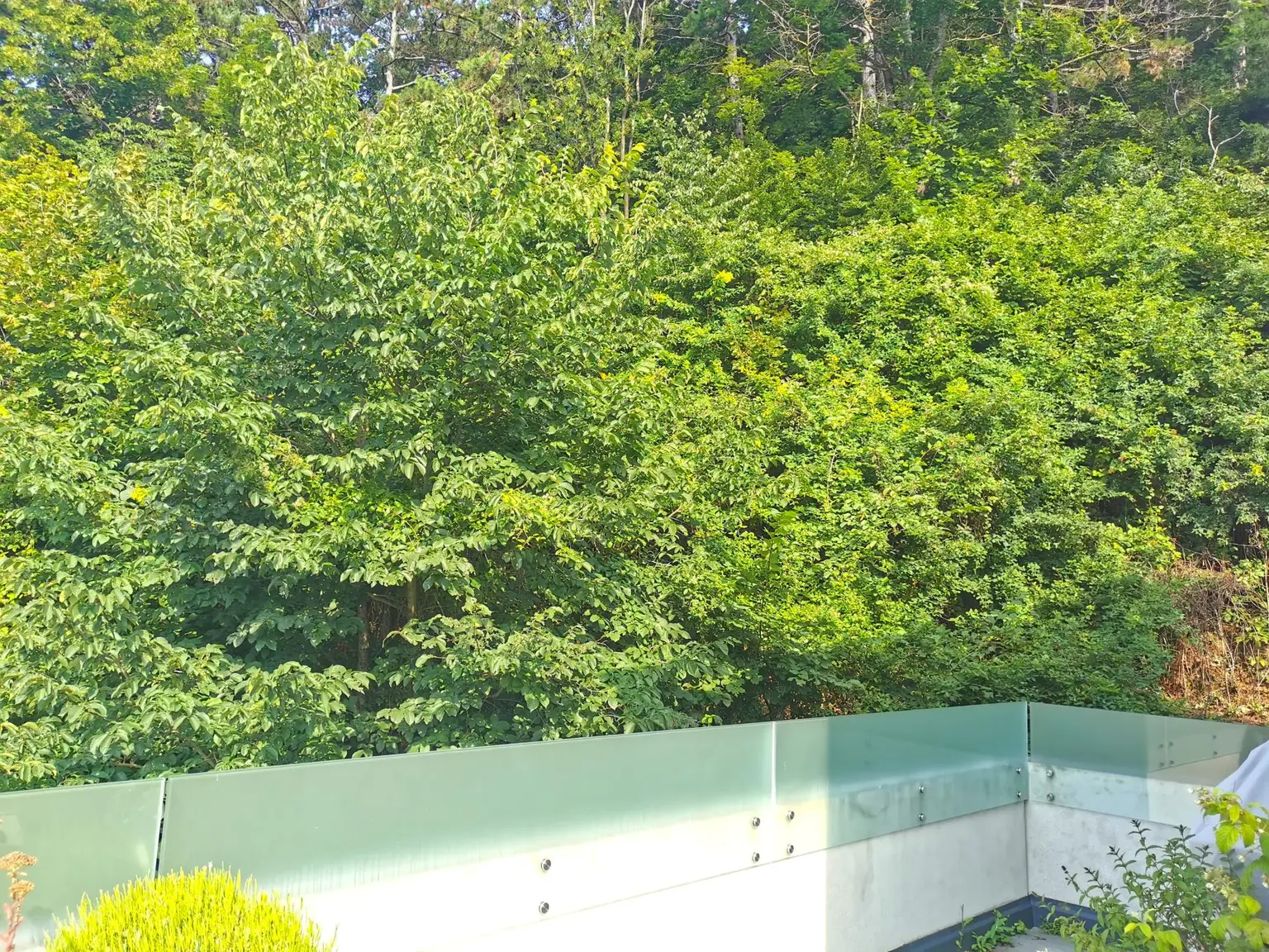Charmante Maisonette mit großzügiger Terrasse und Grünblick in Kaltenleutgeben