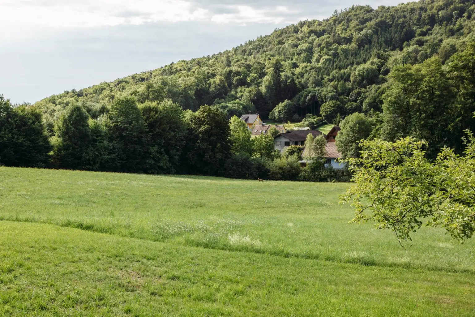 8054 Strassgang - Idyllische Liegenschaft zum Bauen, Pflanzen, Leben mit ca. 5000 m² und Altbestand in ruhiger Sackgassenlage