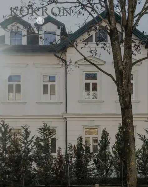 Jahrhundertwendevilla mit Seltenheitswert – im Bestand nutz- und renovierbar oder als attraktives 4-Parteien-Projekt übernehmbar