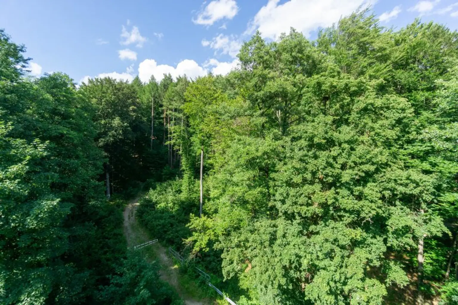 Ausblick von Zimmer 2 Richtung Wald