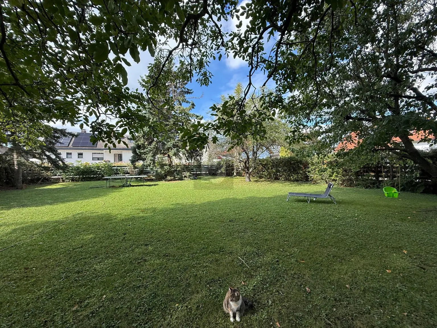 SONNIG UND EBENERDIG MIT SCHÖNEM BAUMBESTAND