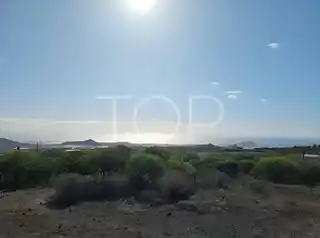 Land-Granadilla-xxx-Teneriffa-14