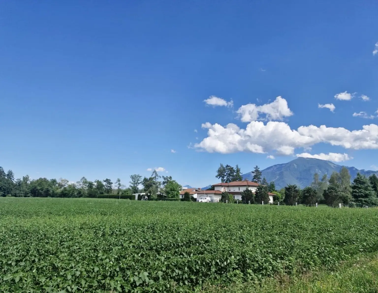 Traumhaftes Baugrundstück mit 3150 m² im Unterkärntner Seengebiet, Bergblick!
