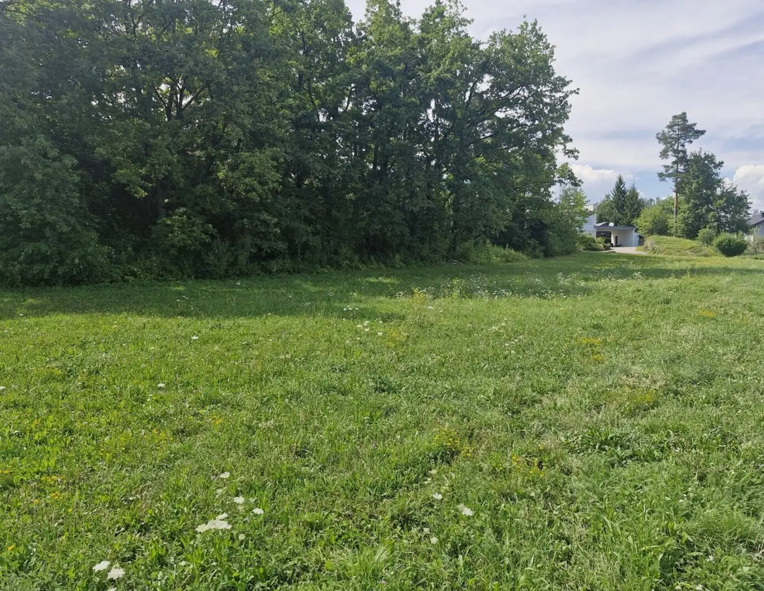 Traumhaftes Baugrundstück mit 3150 m² im Unterkärntner Seengebiet, Bergblick!