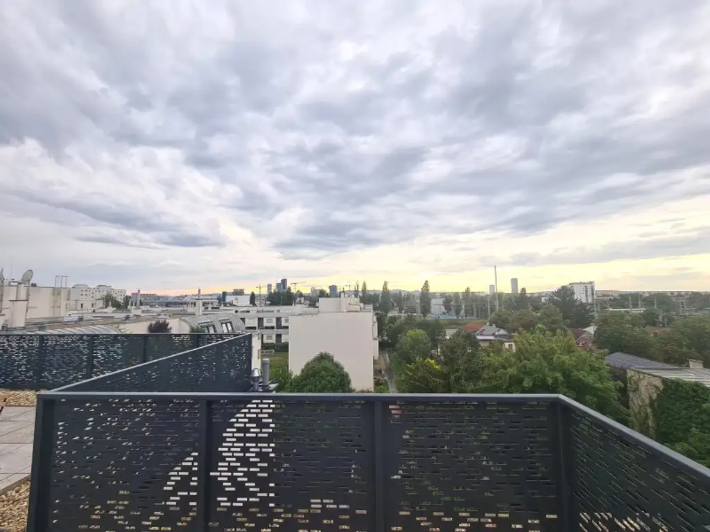 Neubau-Erstbezug - 1 Zimmer mit Außenfläche und sehr großer Gemeinschaftsterrase ca. 60 m² - unweit der U2 Station Stadlau
