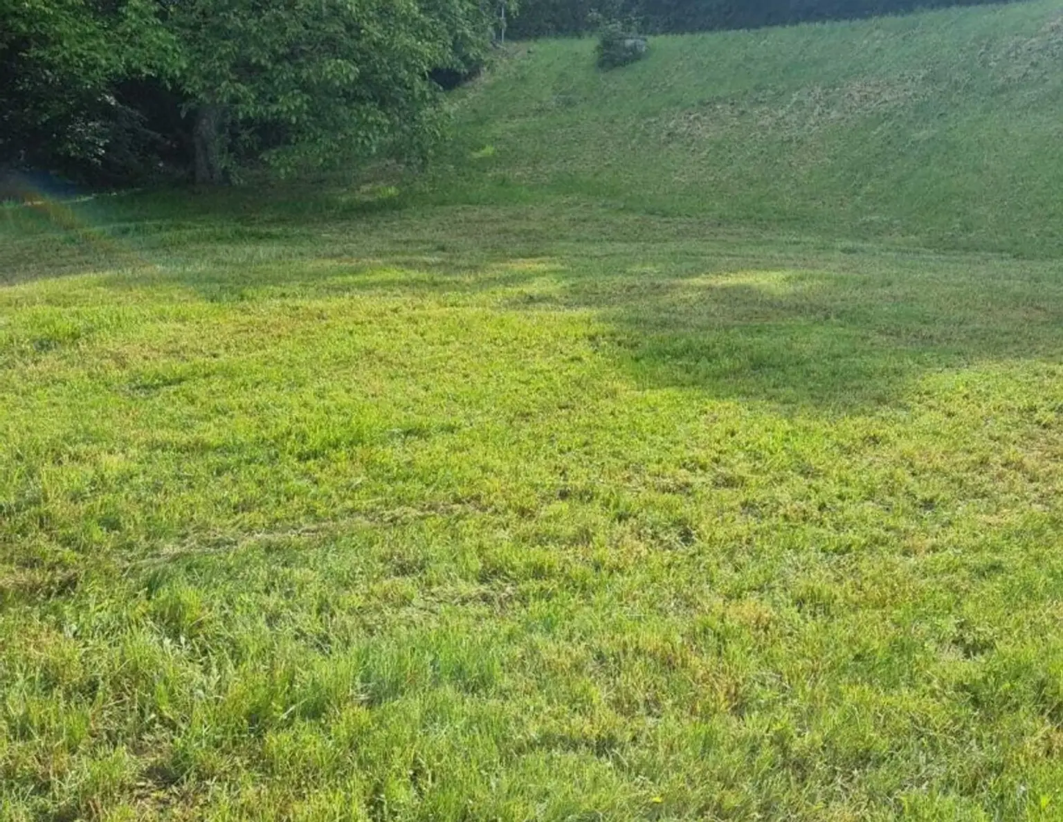 Baugrundstück in 4111 Walding