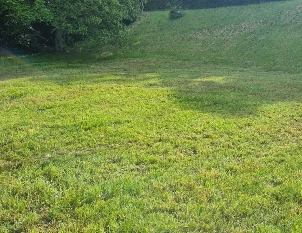 Baugrundstück in 4111 Walding