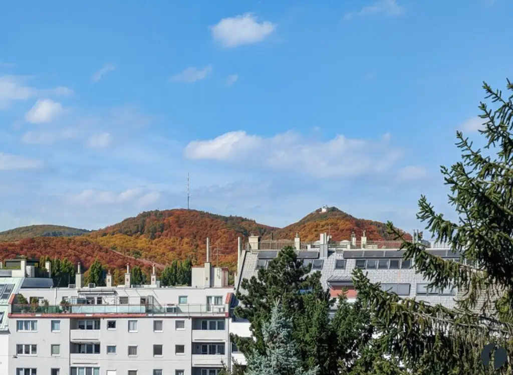 Ihr Rückzugsort über den Dächern – bezugsfertig, zentral und mit traumhaftem Weitblick!