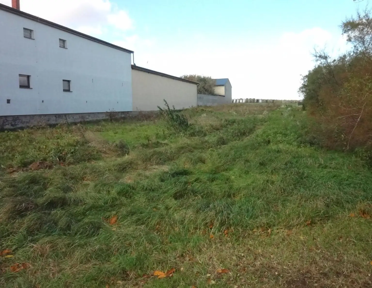 Aufgeschlossenes Grundstück in bester Lage am Ortsrand von Gols!