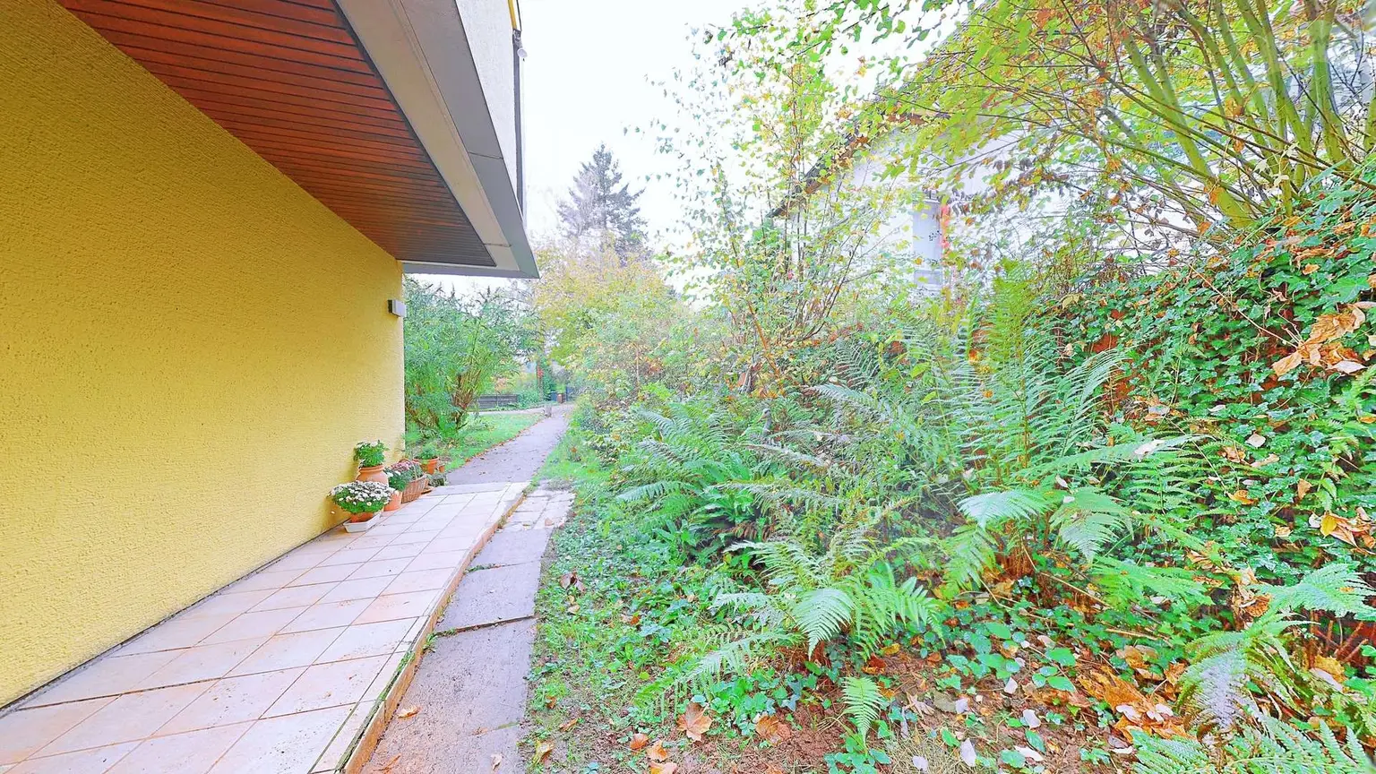 Weg_zum_Garten___Straße_