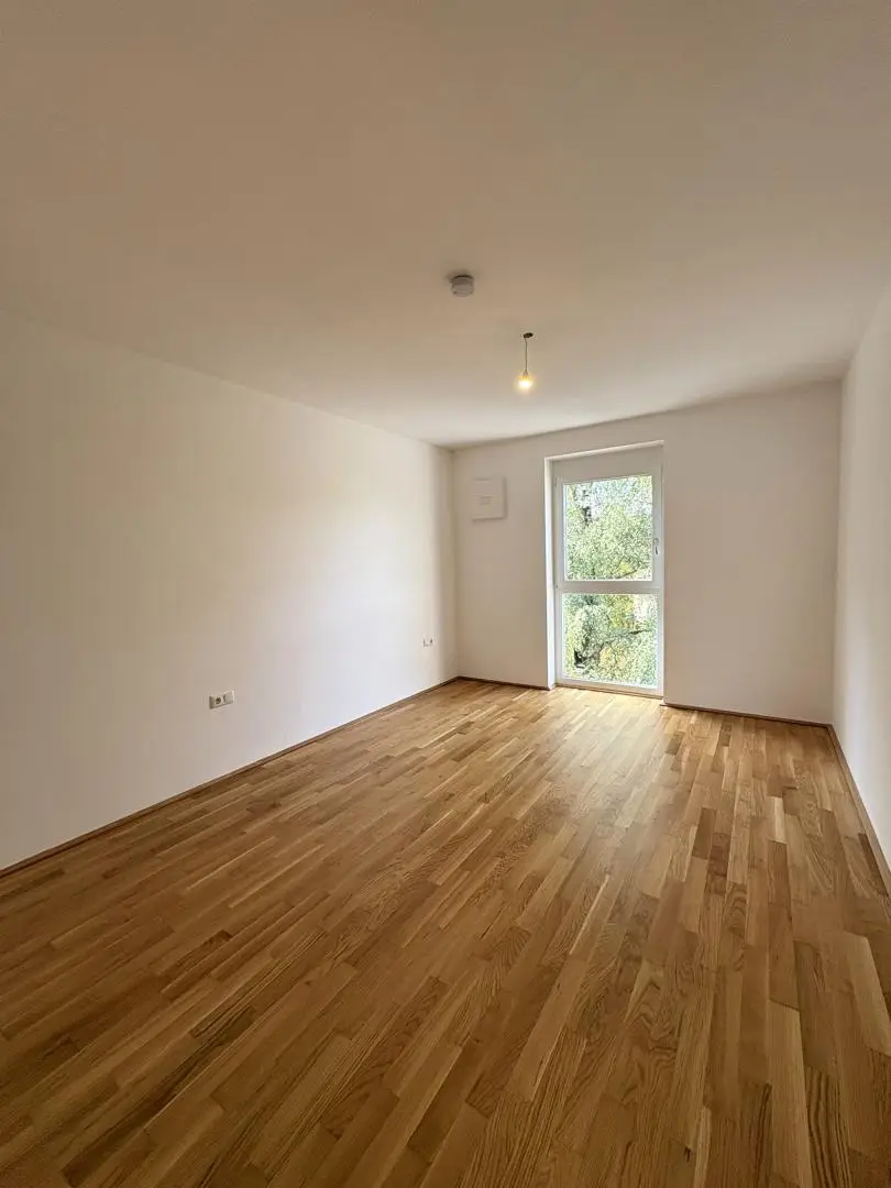 Zimmer 1