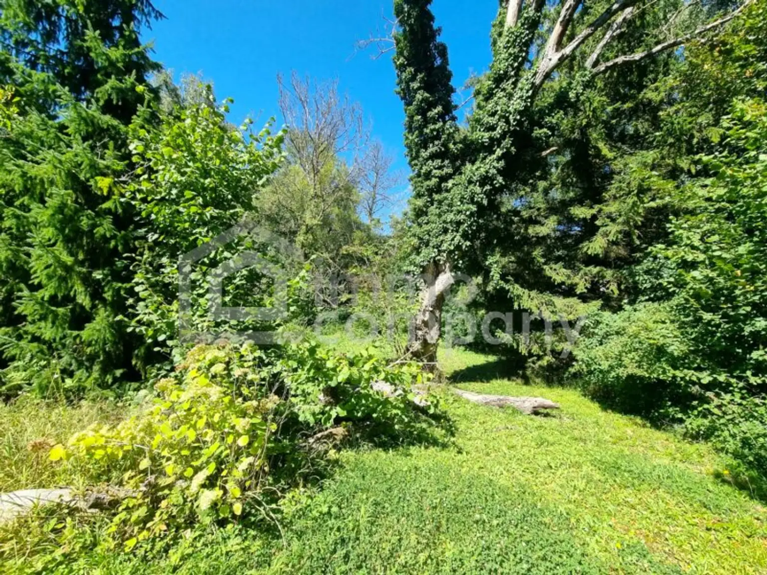 Großes Baugrundstück mit Altbestand vor den Toren Wiens. Bauträger aufgepasst! 1.000 m² bebaubare Fläche