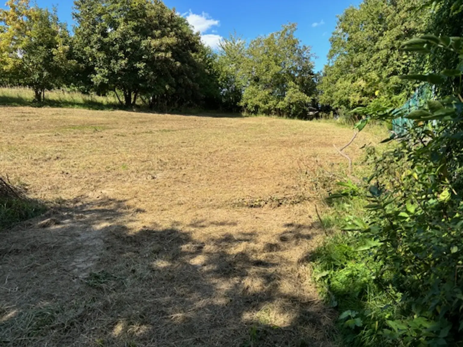 KAUFANBOT LIEGT VOR!      Wohnen im Grünen – Leben in Stadtnähe. Traumhaftes Grundstück im Wischathal!
