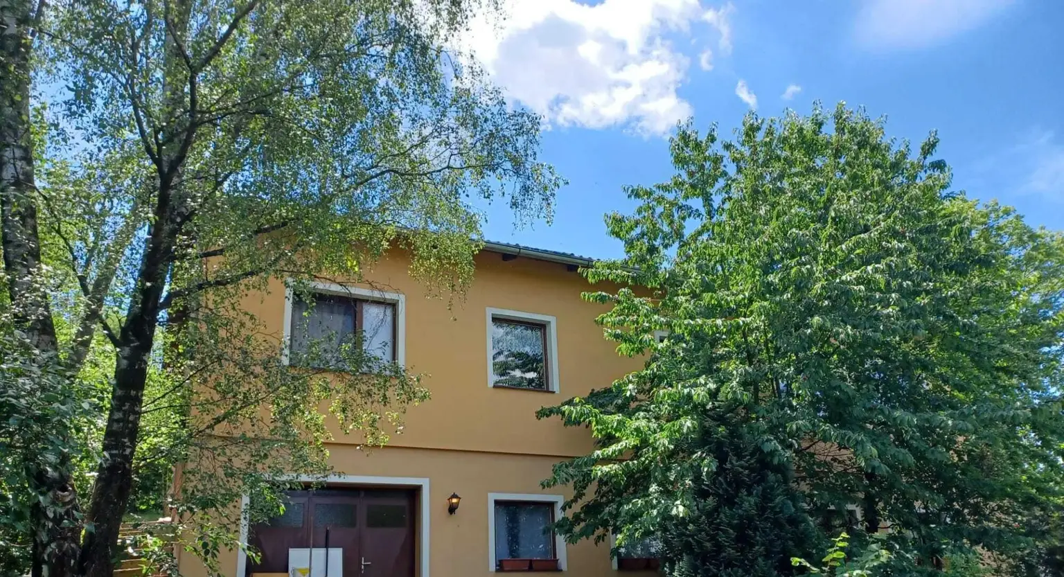 Straßenansicht Sommer (2)