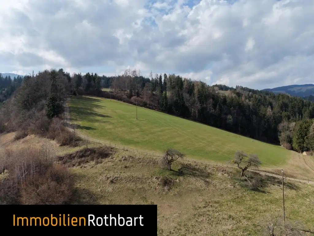 Wald mit Wiese und Zinshaus!