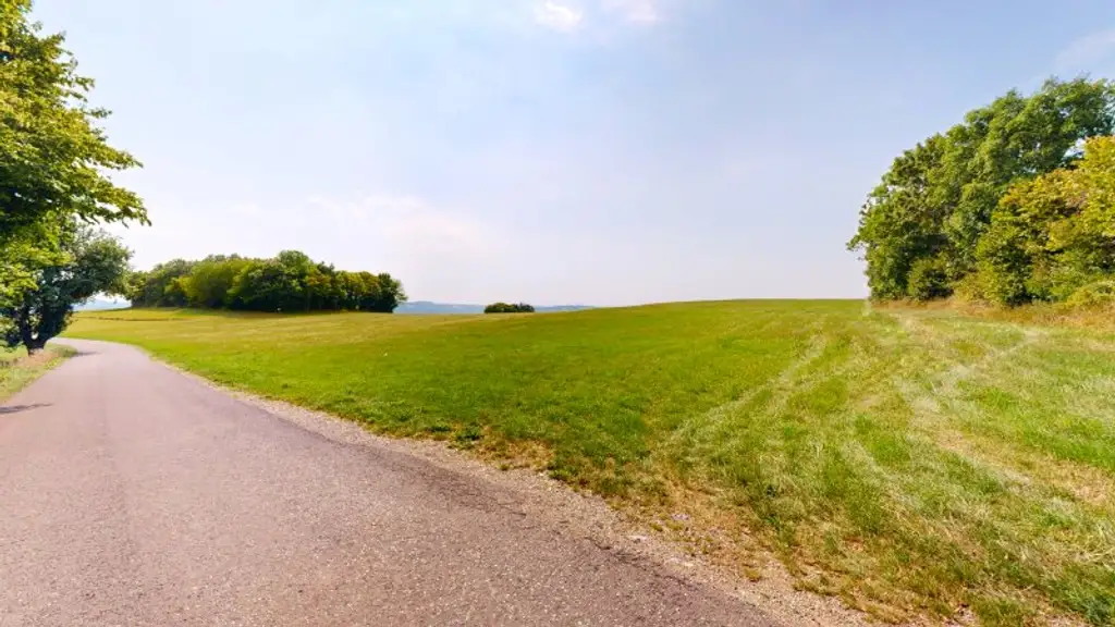 Grundstück mit Baumbestand für landwirtschaftliche Zwecke | 60.053 m² | Schwarzenbach in der Buckligen Welt