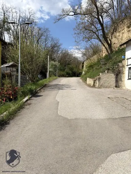 Charmantes Presshaus mit historischem Weinkeller & Entwicklungspotenzial – seltene Gelegenheit!