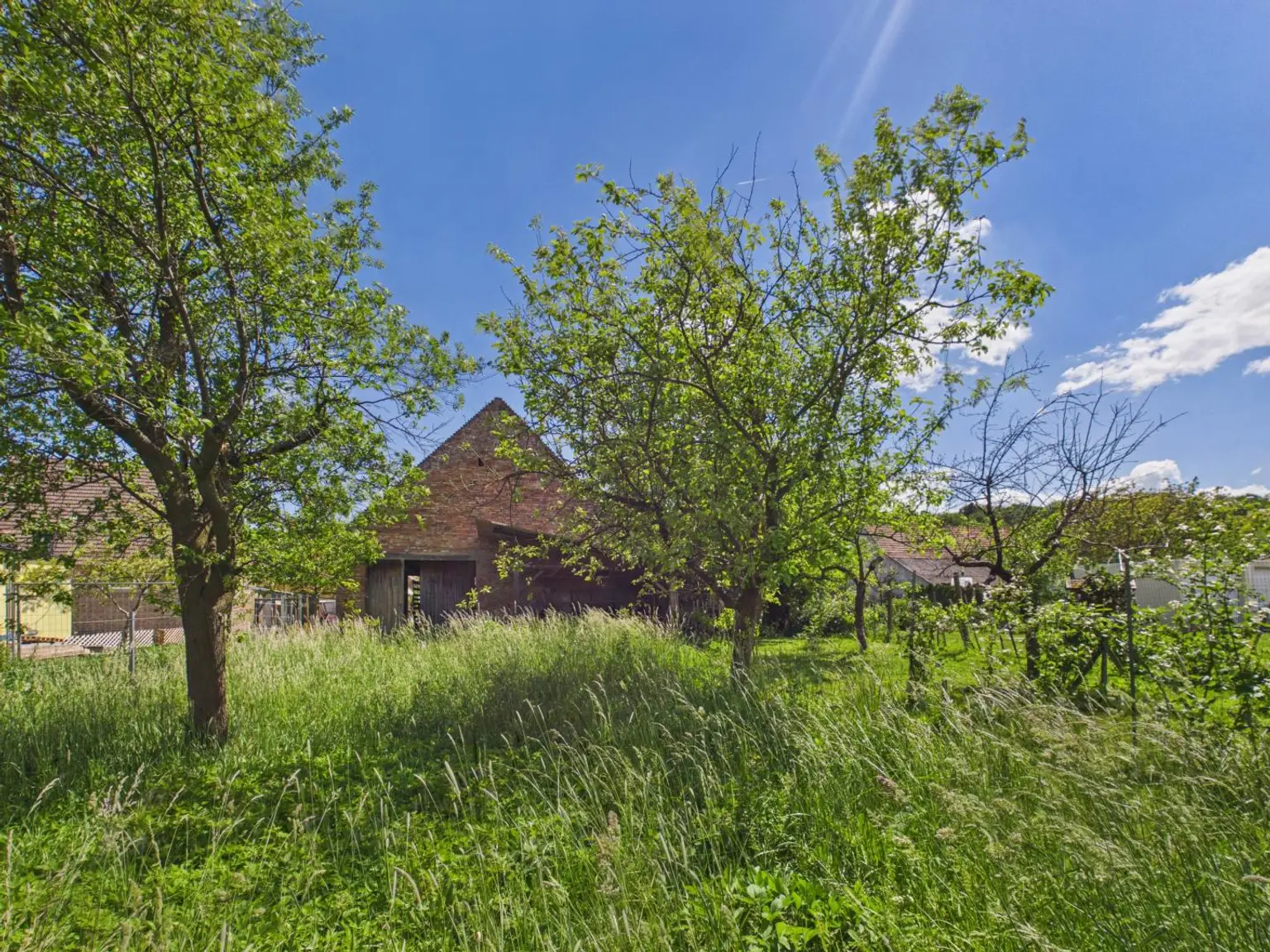 Garten1