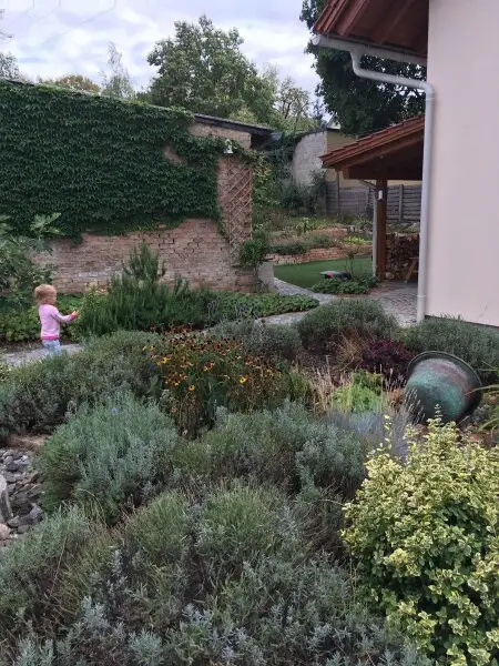 +Einzigartiges Einfamilienhaus mit Nebengebäude in Enzesfeld-Lindabrunn+