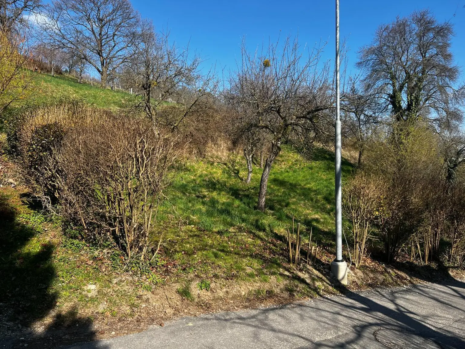 Straßensicht
