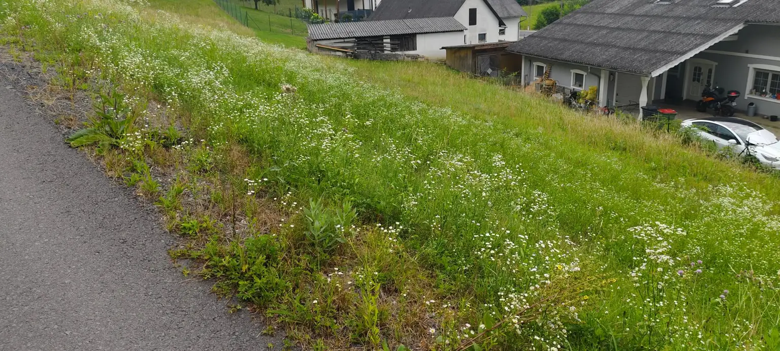 Baugrund mit Ecken und Kanten- gestalten Sie Ihr Paradies