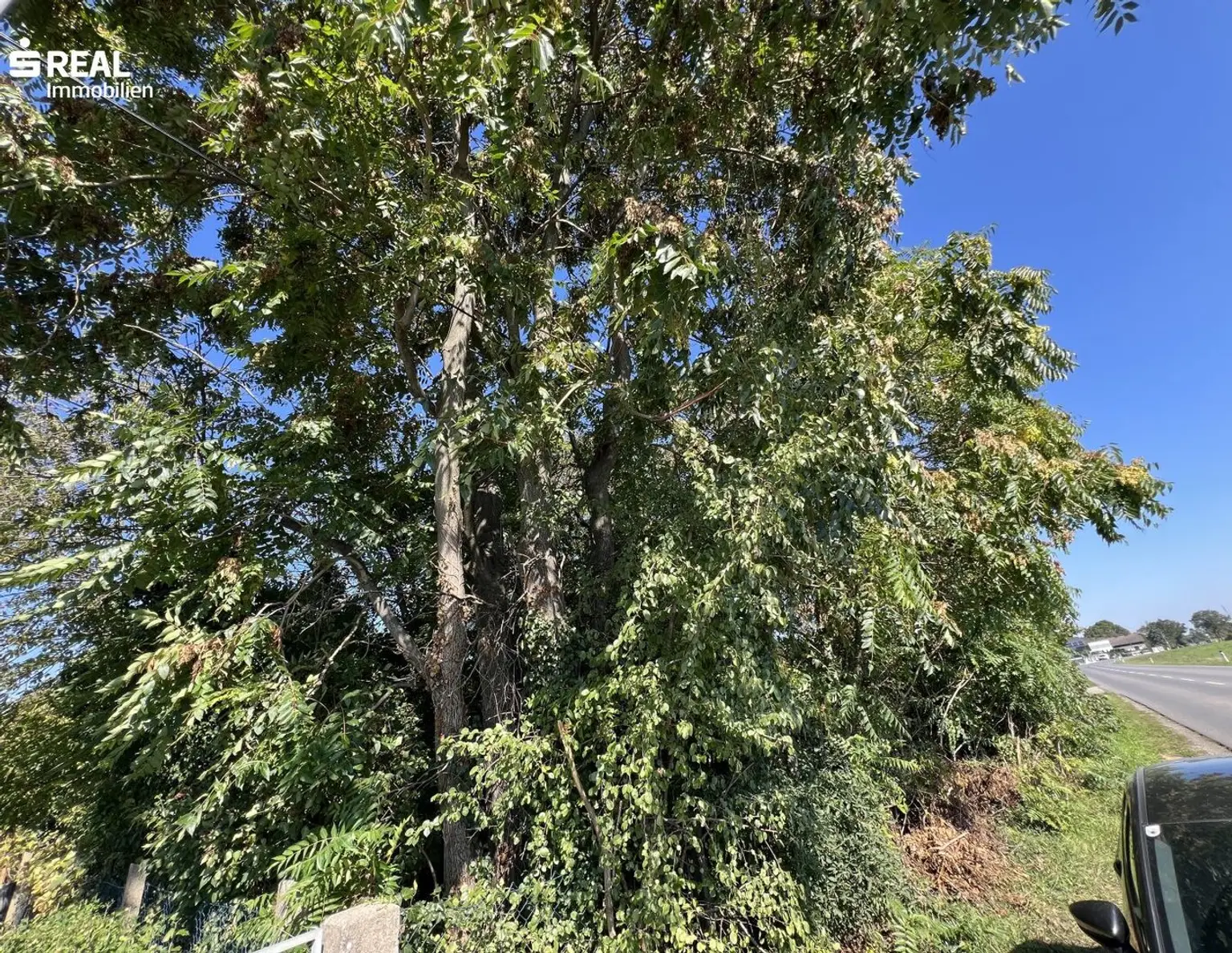 Baugrundstück in Top-Lage - perfekt für Familien