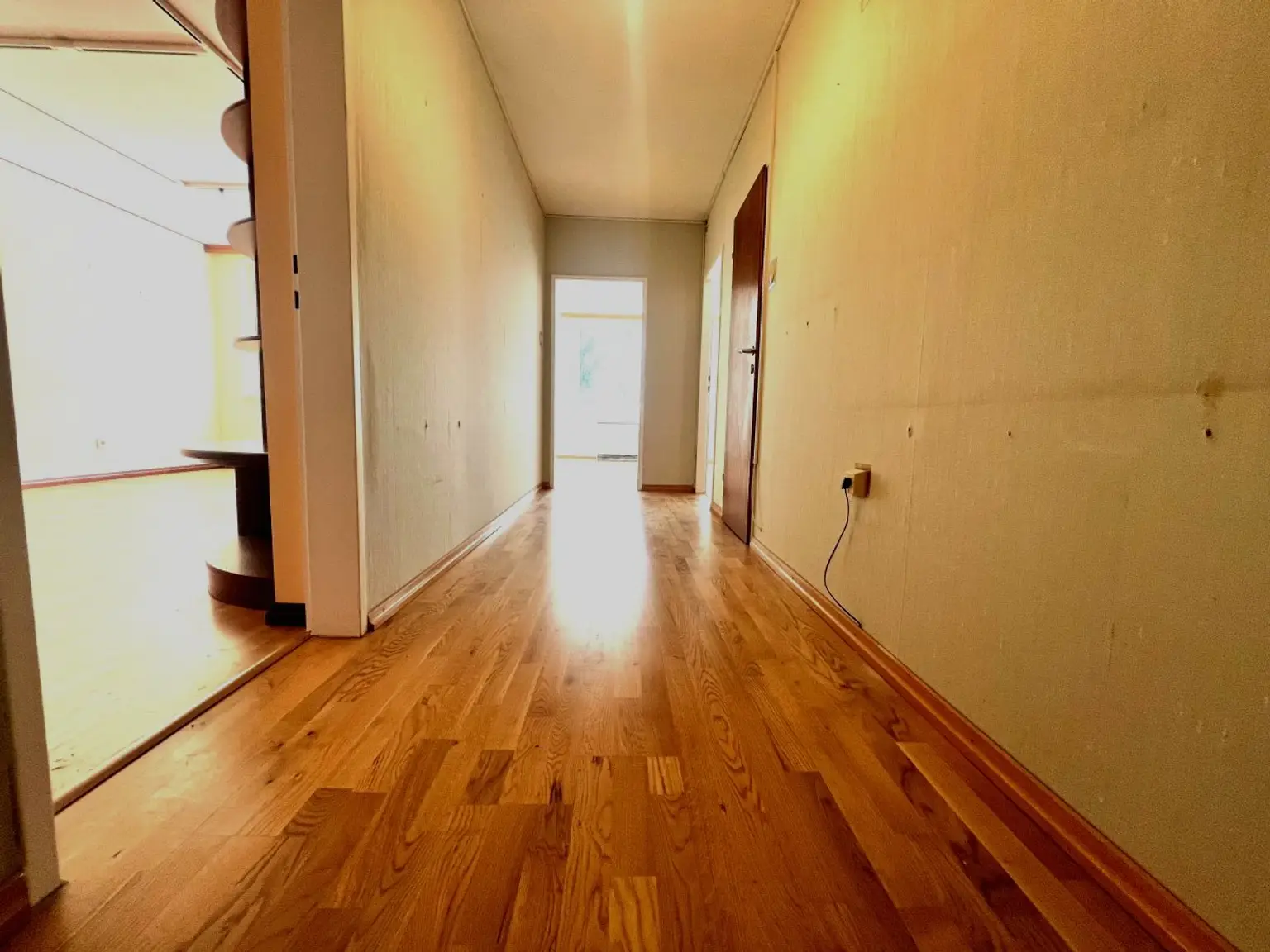 9 | HELLE 3 Zimmer mit Lift im 1. Stock – Ruhelage Nähe U3 | Prima Service Immobilien