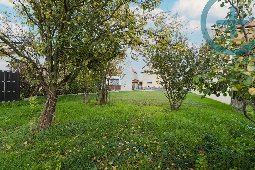 Unberührtes Juwel bei der Lobau