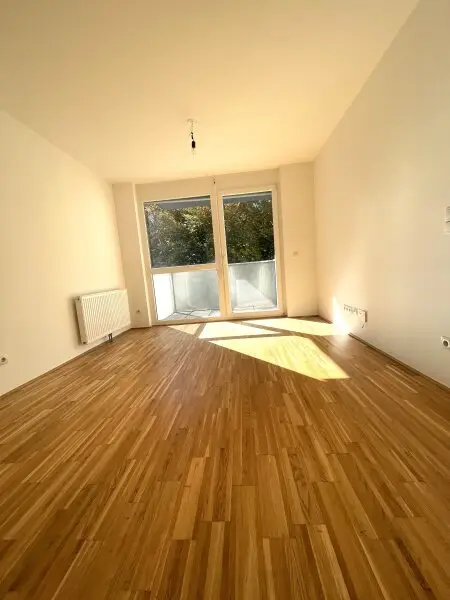 Ruhige 2-Zimmerwohnung mit Balkon, Brünner Straße, 1210 Wien - zu mieten!