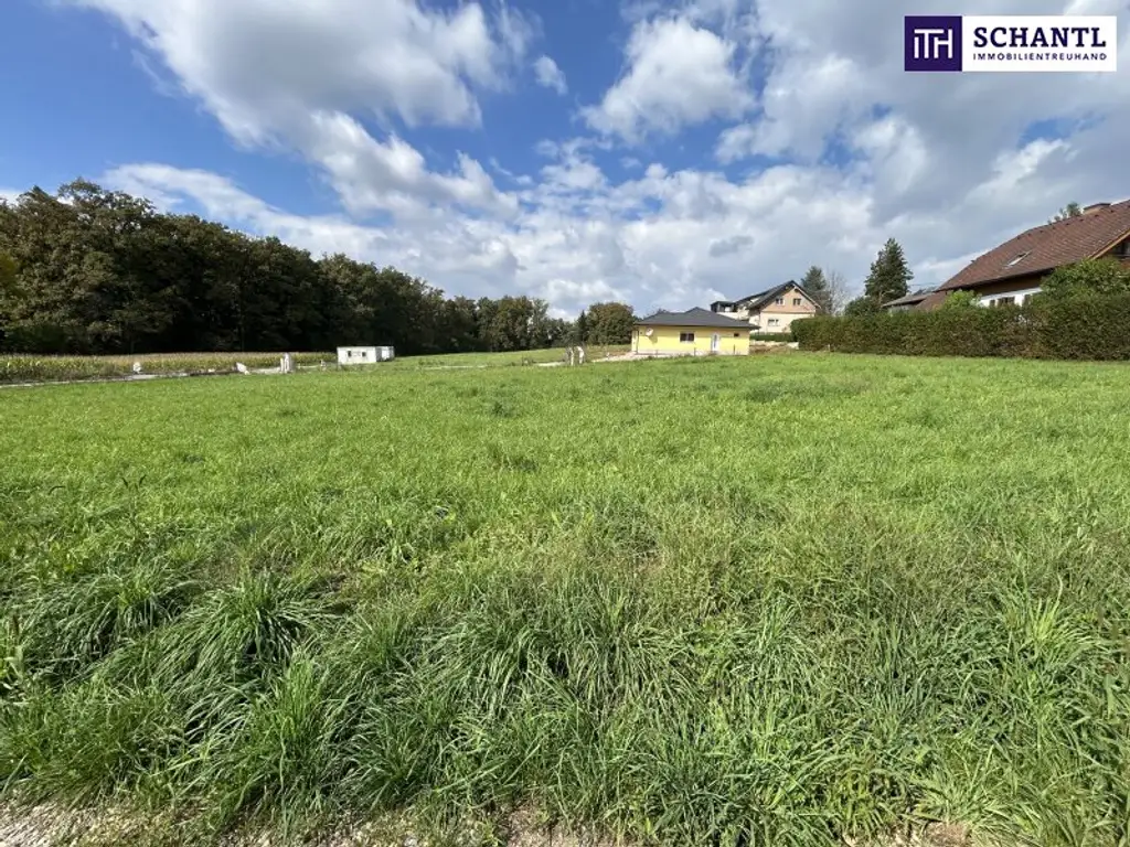 TOP WOHNPROJEKT möglich! IDEAL für BAUTRÄGER! In unmittelbarer Nähe zu den Wundschuher Seen! TOP Anbindung! VOLLERSCHLOSSENES und FLACHES BAUGRUNDSTÜCK!