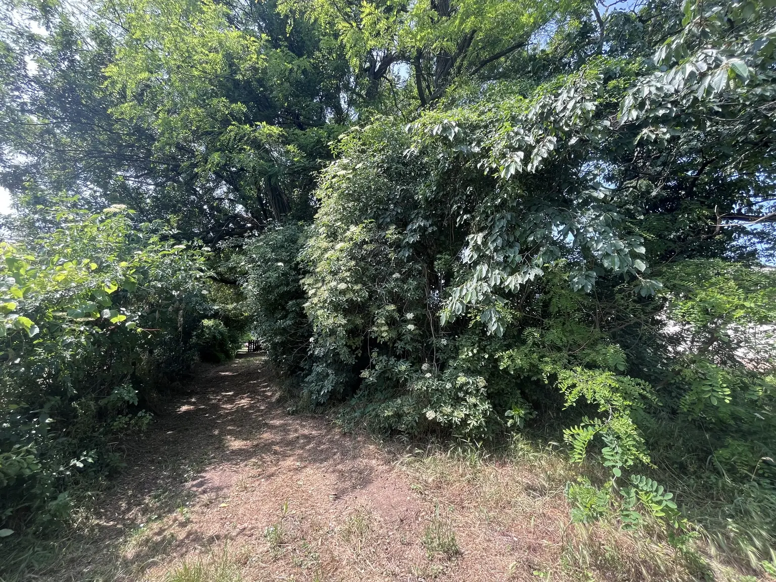 Grundstück mit Altbestand