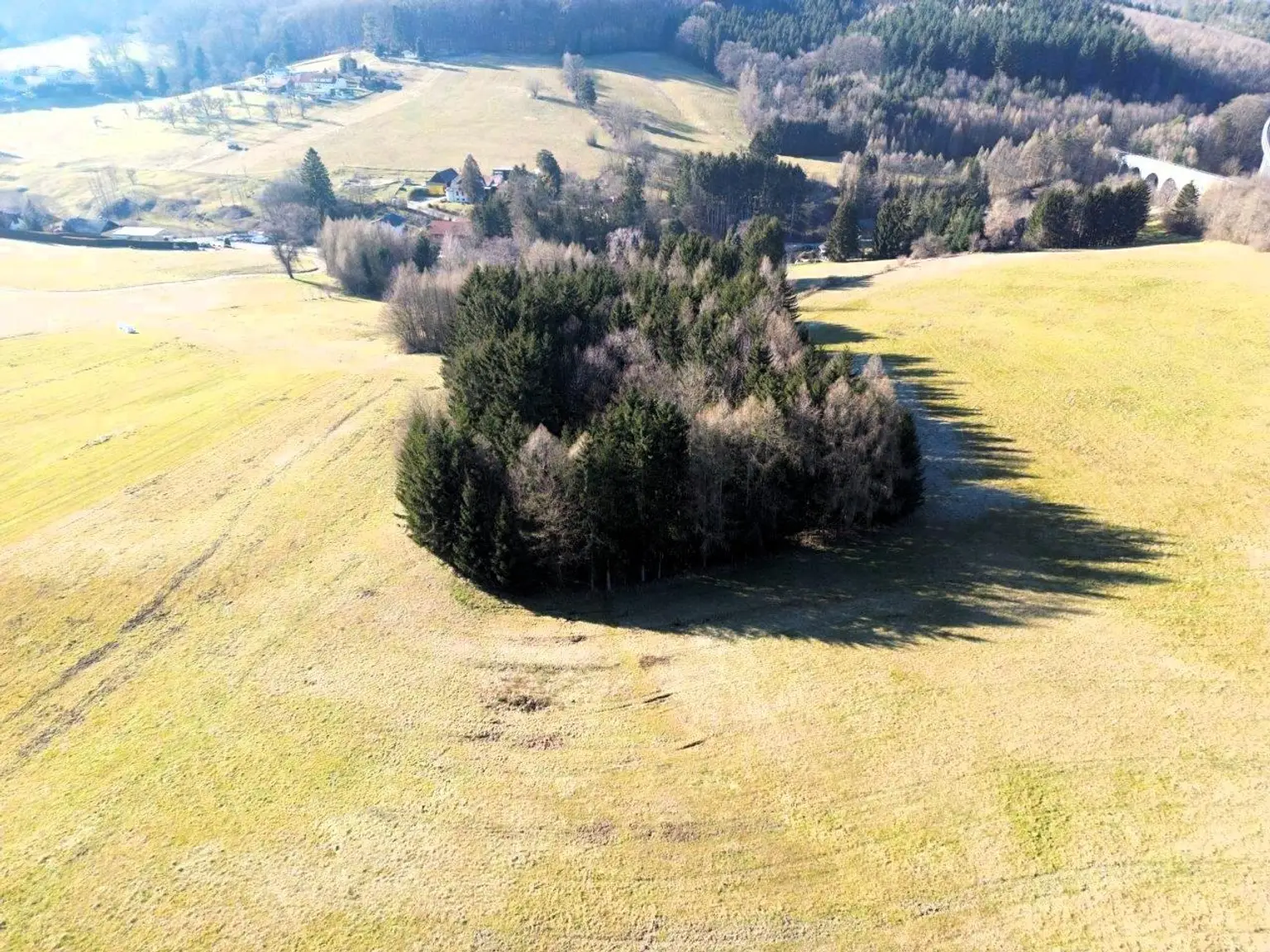 LANDWIRTSCHAFT VOR DEN TOREN WIENS