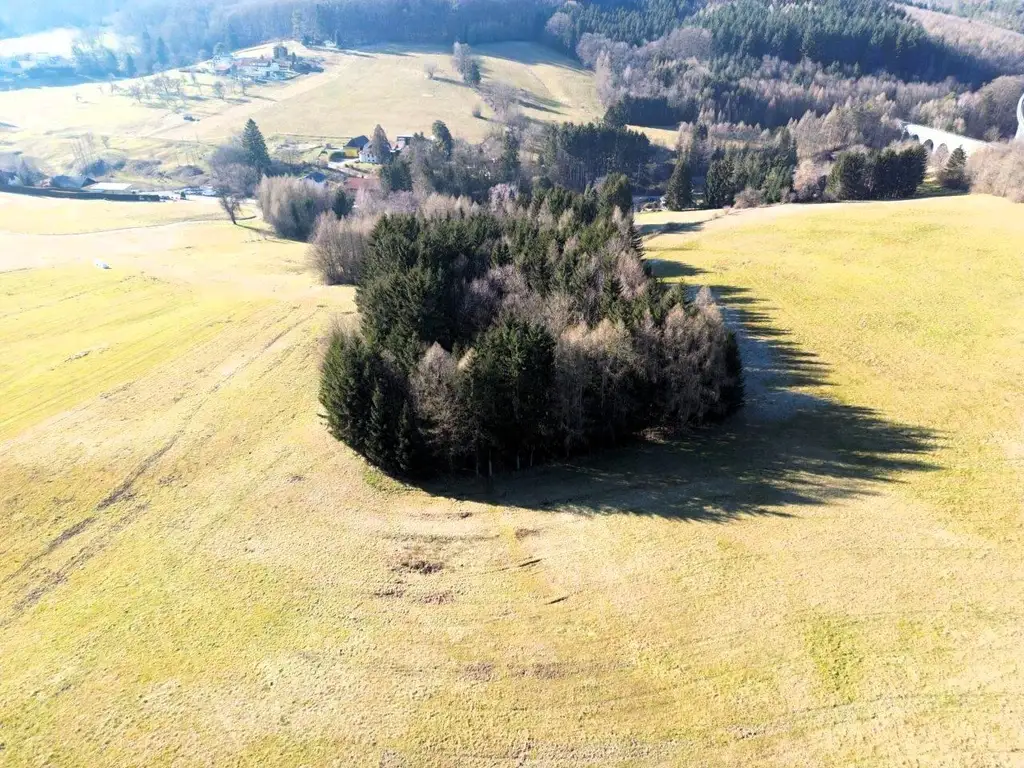 LANDWIRTSCHAFT VOR DEN TOREN WIENS