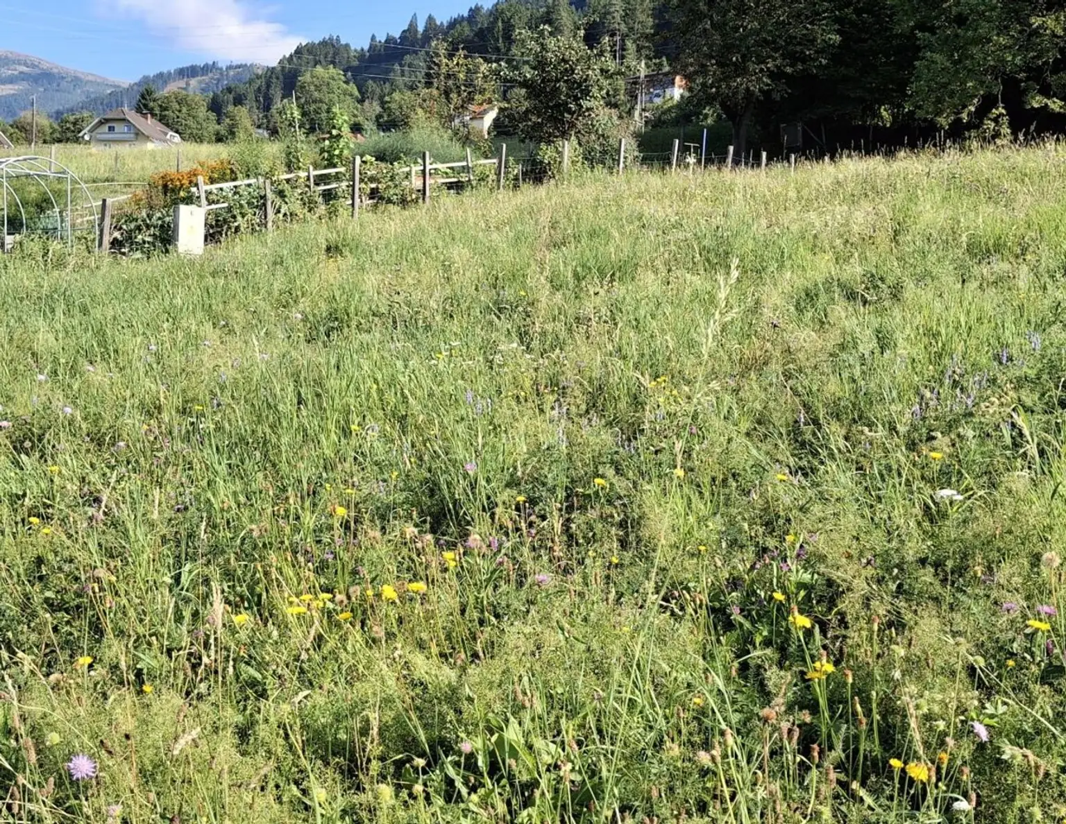 Traumhaftes Baugrundstück in Sappl, Kärnten - Blick auf den Millstätter See.