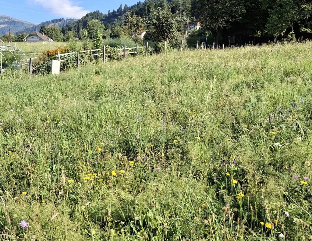 Traumhaftes Baugrundstück in Sappl, Kärnten - Blick auf den Millstätter See.
