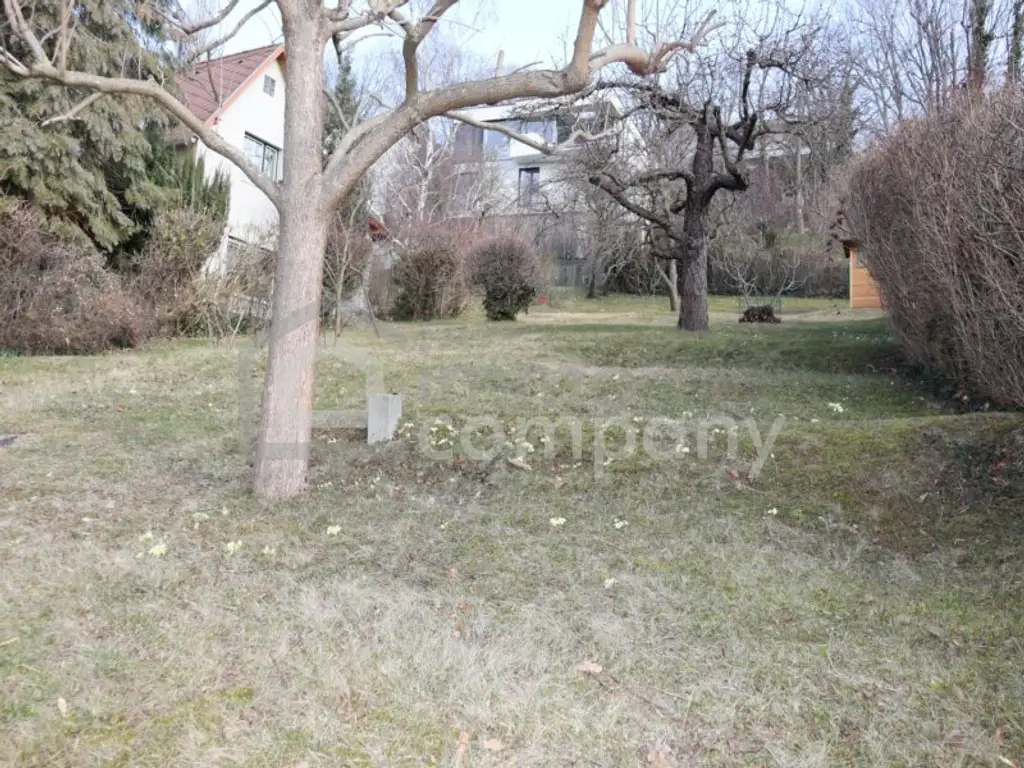 ES GIBT FÜR ALLES EINEN GRUND - wir haben gleich 3 davon…