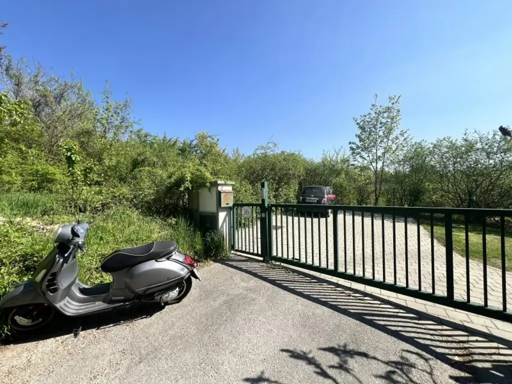 Moderne, zentrumsnahe Familienvilla mit großem Garten in gefragter Grünruhelage (!)