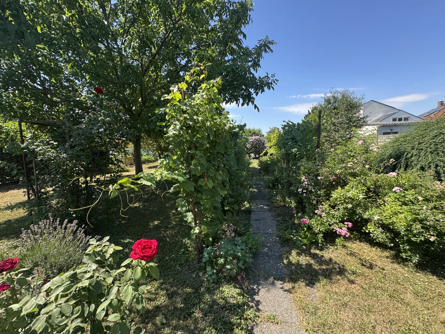 herrlicher Garten