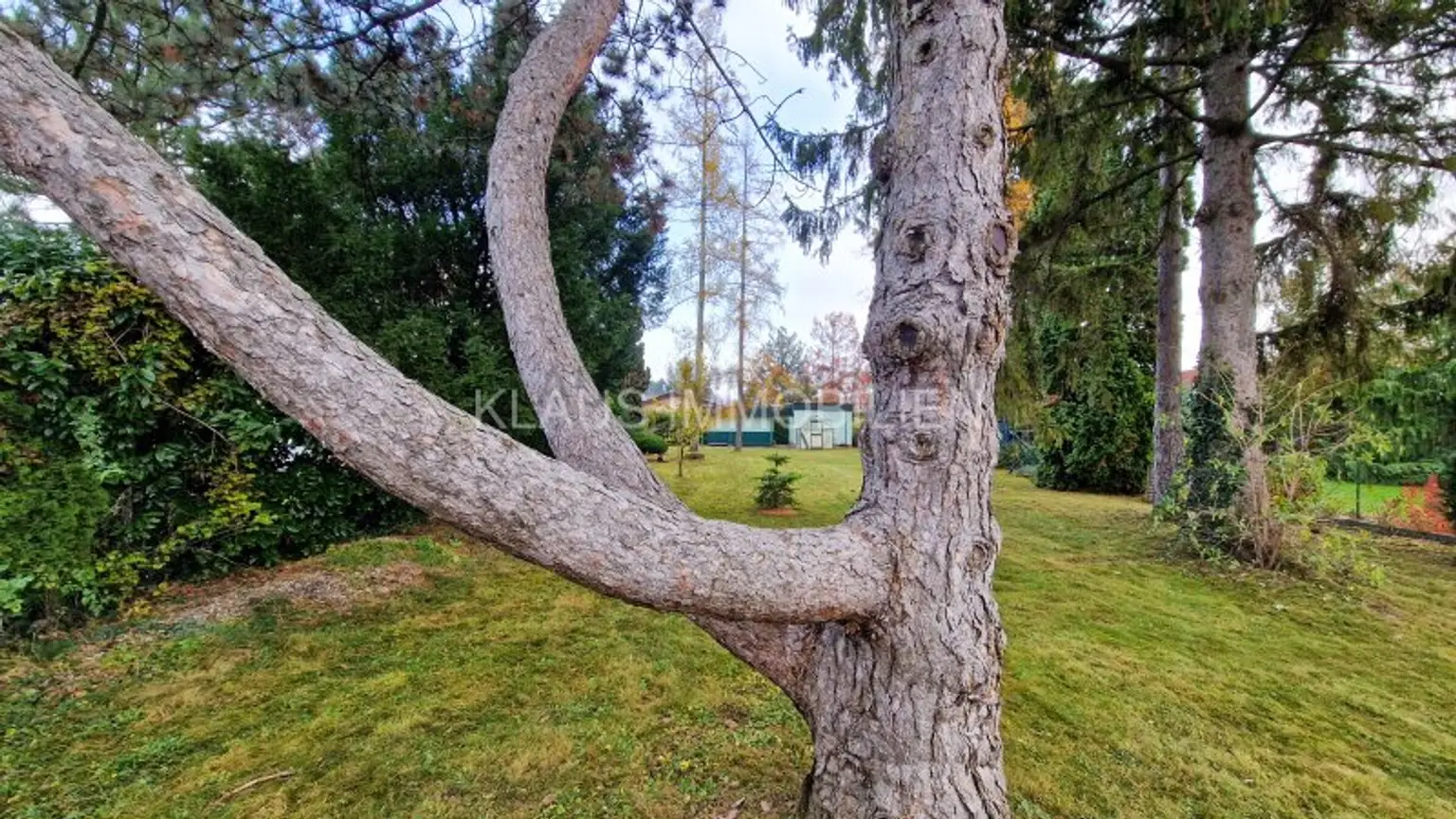 in Vorbereitung! Bungalow mit Seezugang, Neufelder See