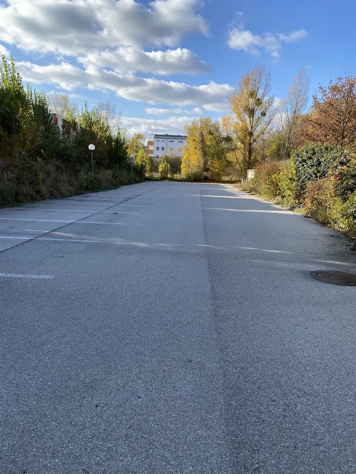 Großes Büro für 50 - 60 Mitarbeiter!