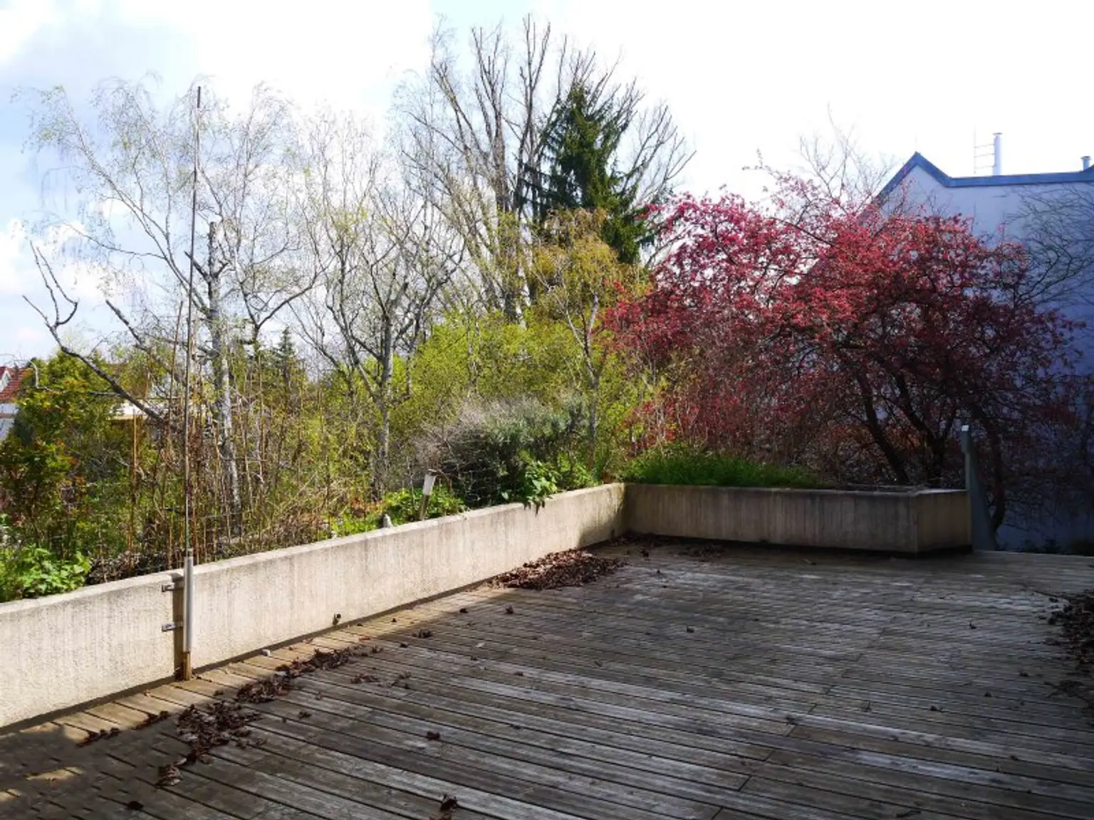 FÜR SINGLES ODER PAARE MIT FIXEM EINKOMMEN - GROSSZÜGIGE WOHNUNG MIT TERRASSE