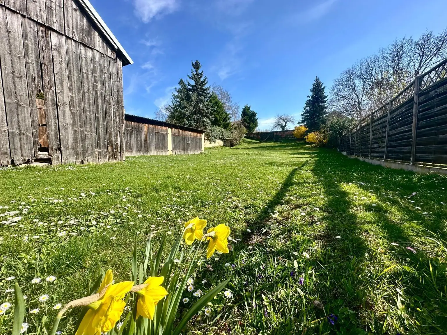 Garten