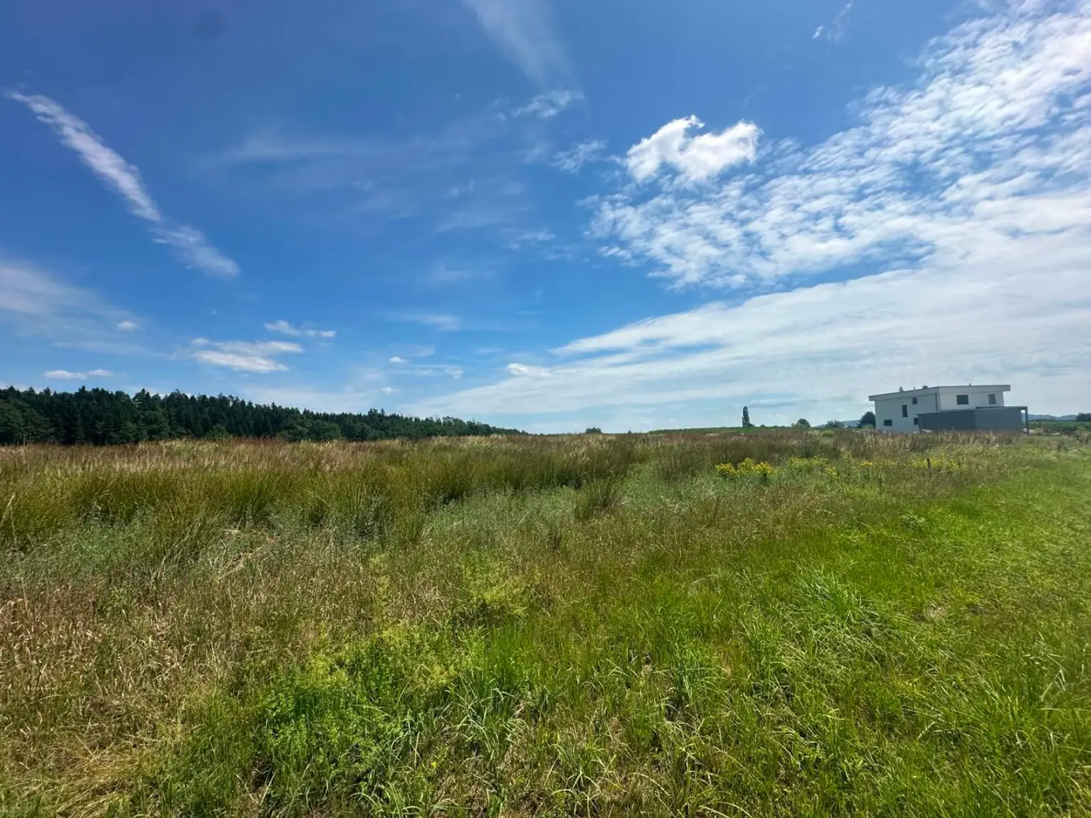 Baugrundstücke Top Lage sonnig und ruhig Gross St