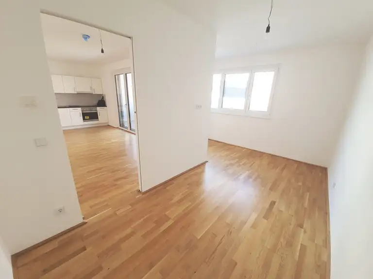 Zimmer I