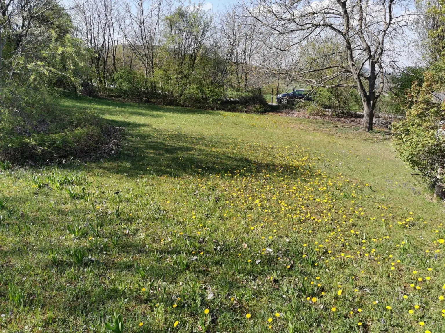 02 Baugrund Rederberg Ansicht