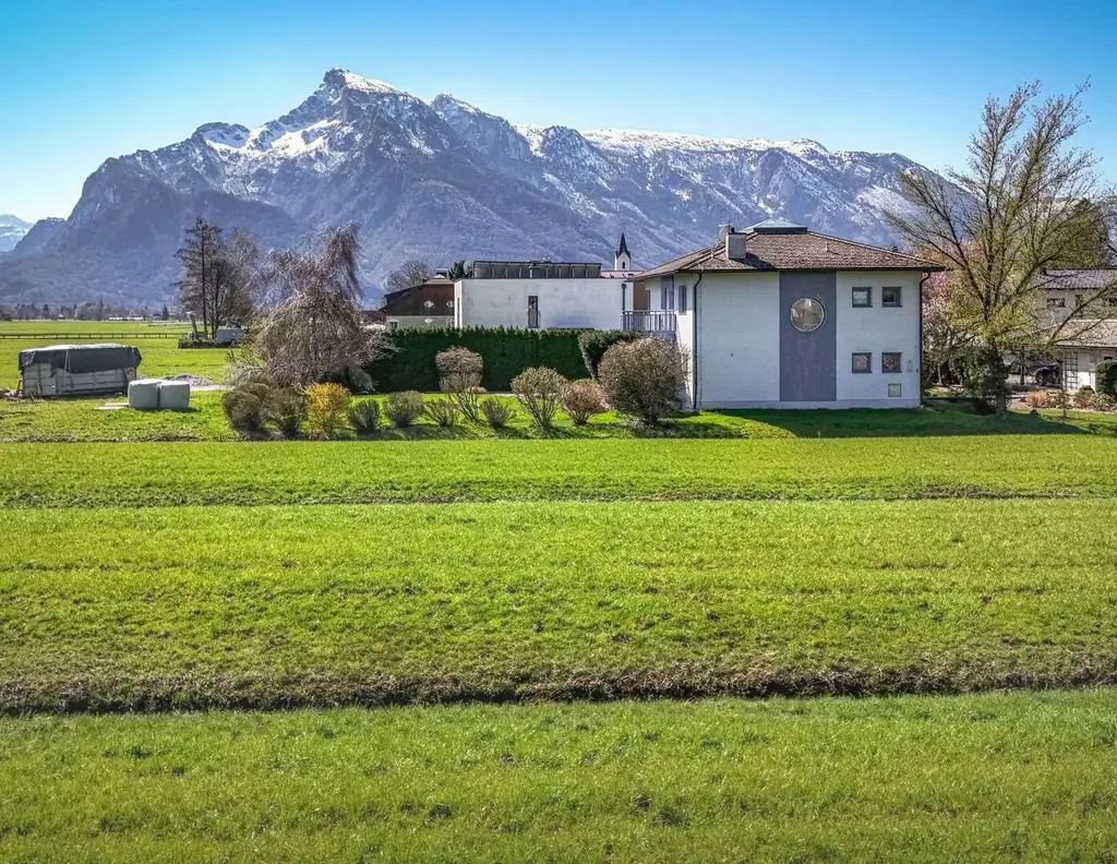MORGENTAU LEOPOLDSKRON | PANORAMAGRUNDSTÜCK
