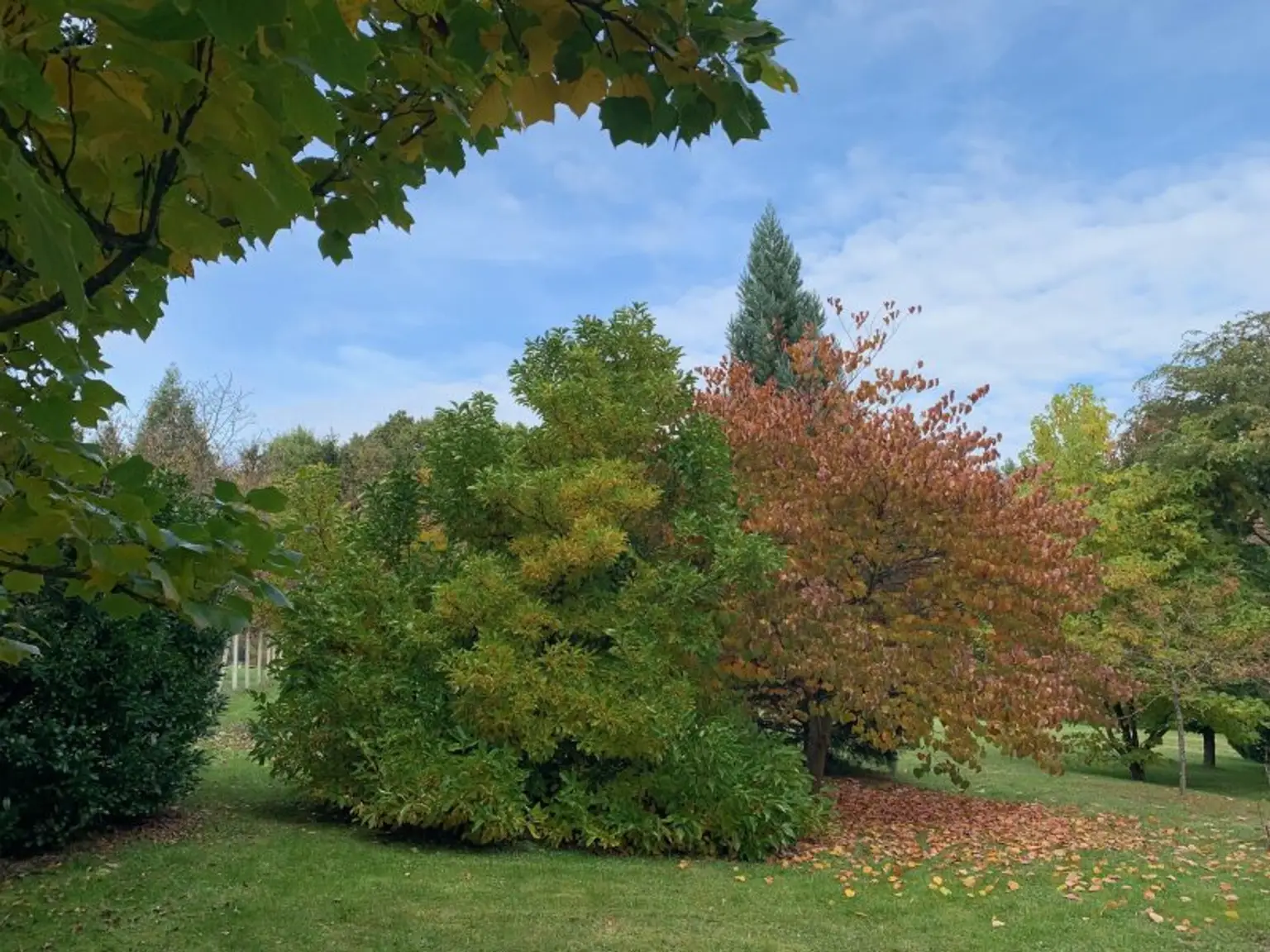 Landhaus in Alleinlage