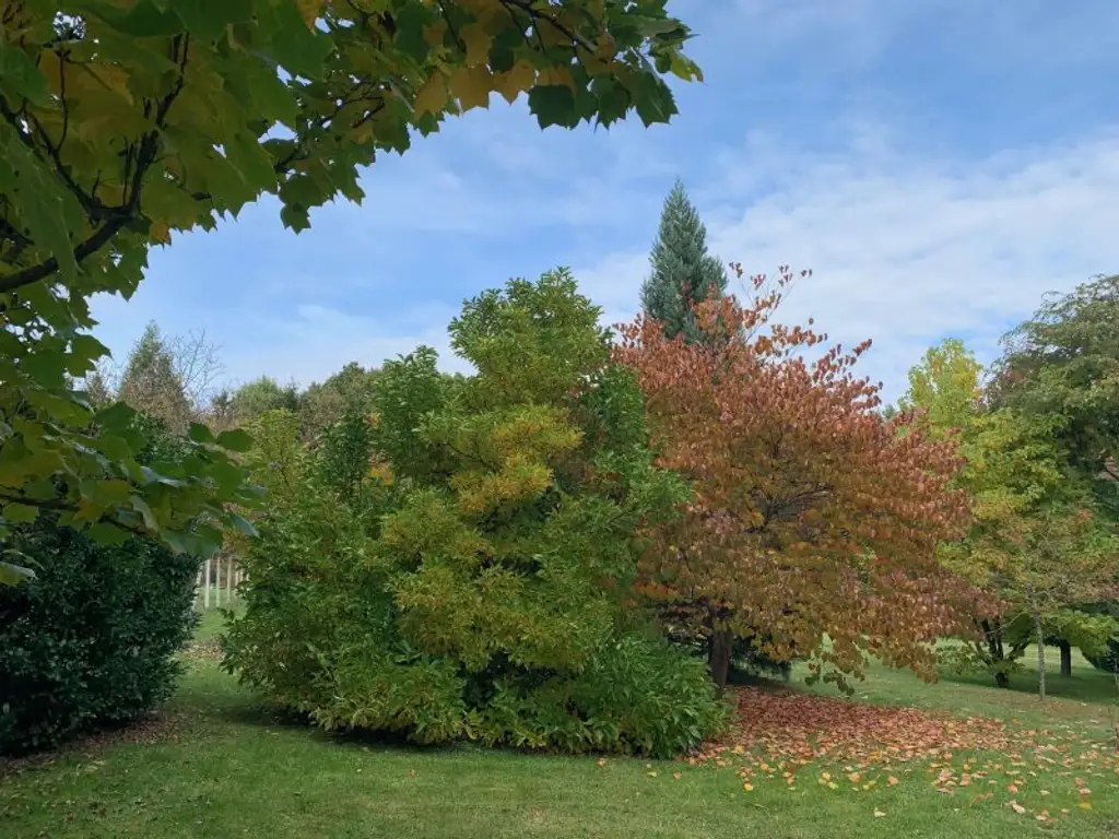 Landhaus in Alleinlage