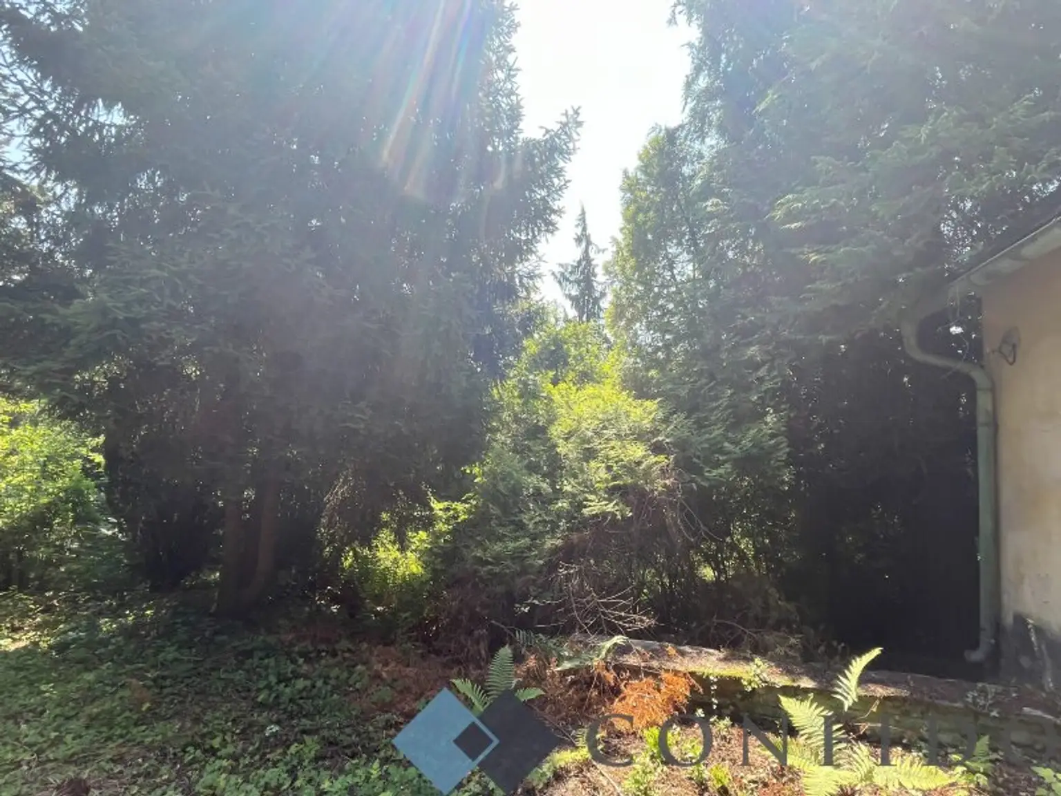 Rarität - Grundstücke in Ruhelage an der Grenze Wiens zu verkaufen!