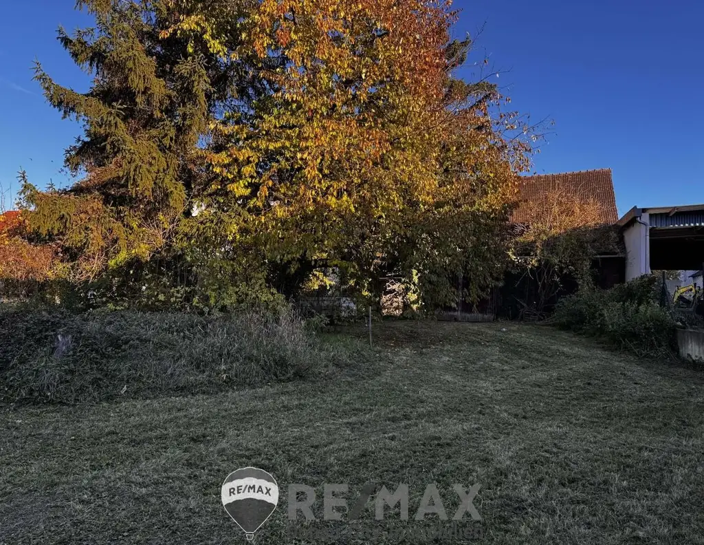 "Ein Grund zum Bleiben"